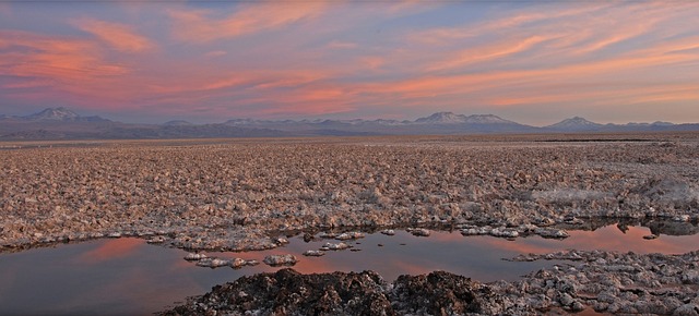 Shackleton and Selous trips to Atacama