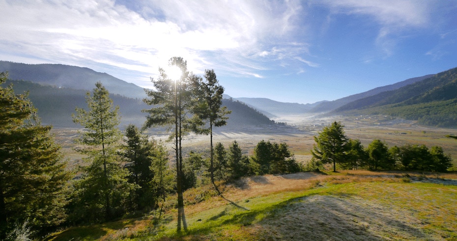 Photos of Bhutan forest