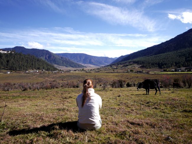 Gangtey's valley