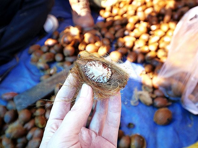 Betel nuts