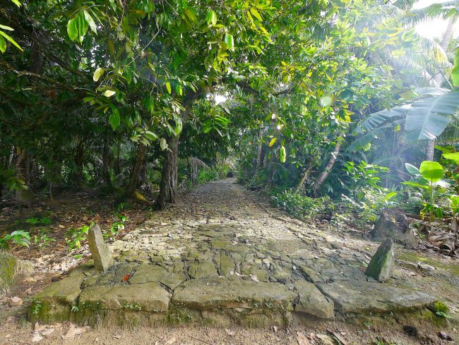 Coral top path in Yap