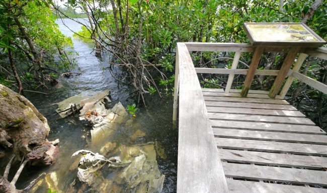 WWII wreck in Yap