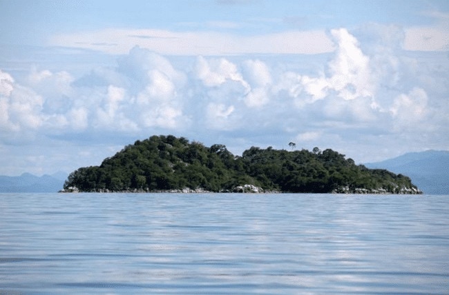 Blue Zebra Island Lodge