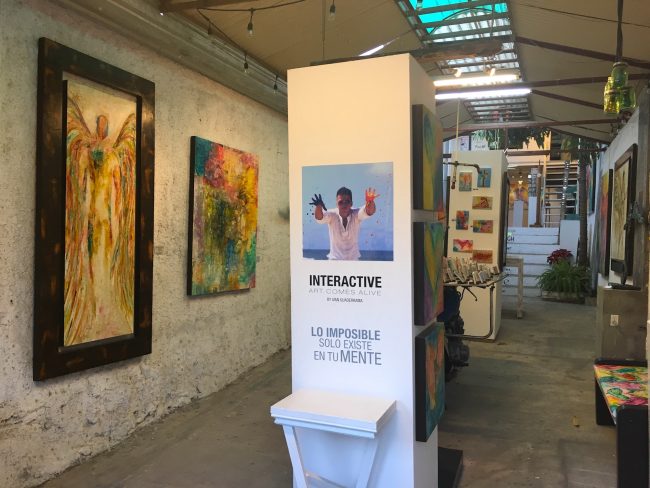 Galleries in San Jose del Cabo