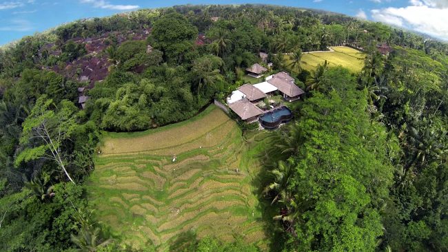 Villa Amrita rice paddies