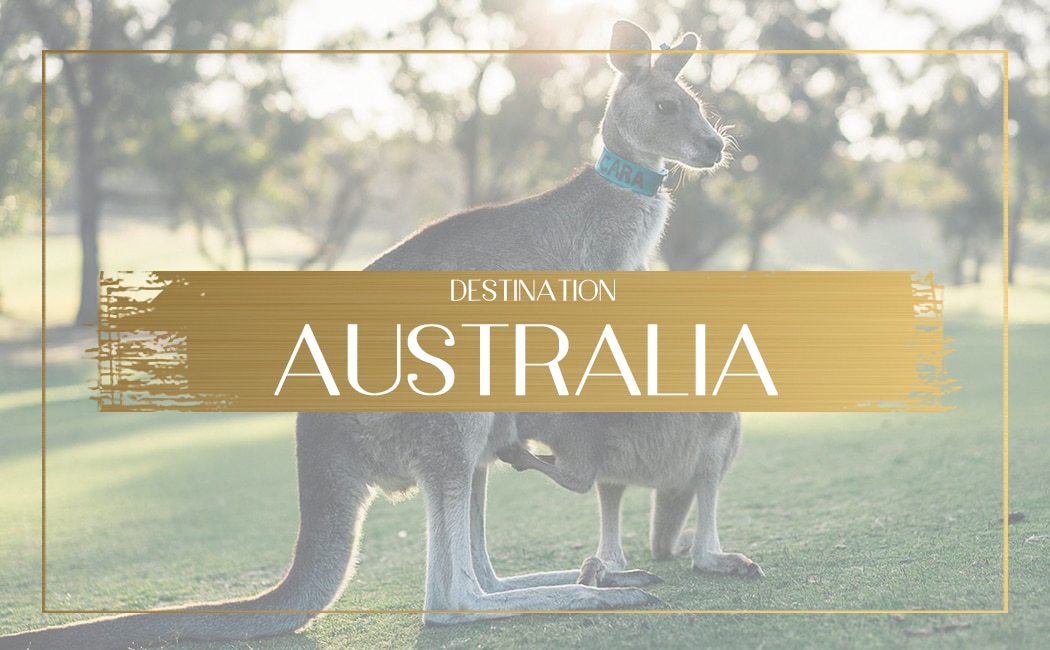 Destination Australia