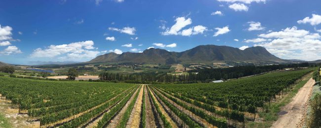 The gorgeous Hemel en Aarde Valley 