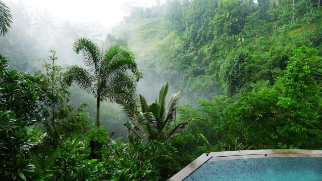 Villa Umah Shanti pool and view