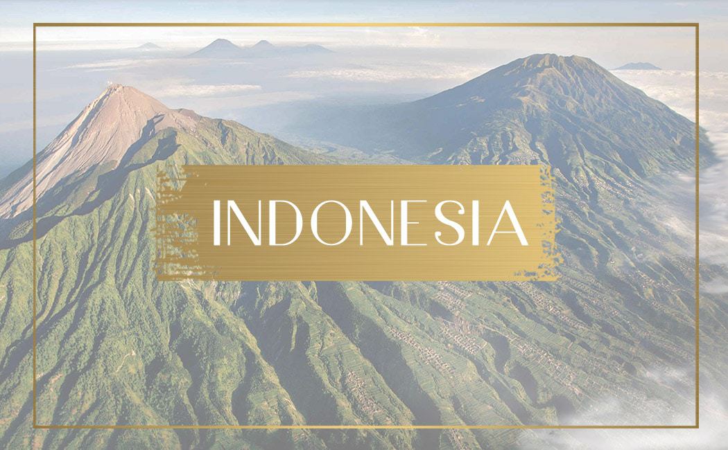 Destination Indonesia