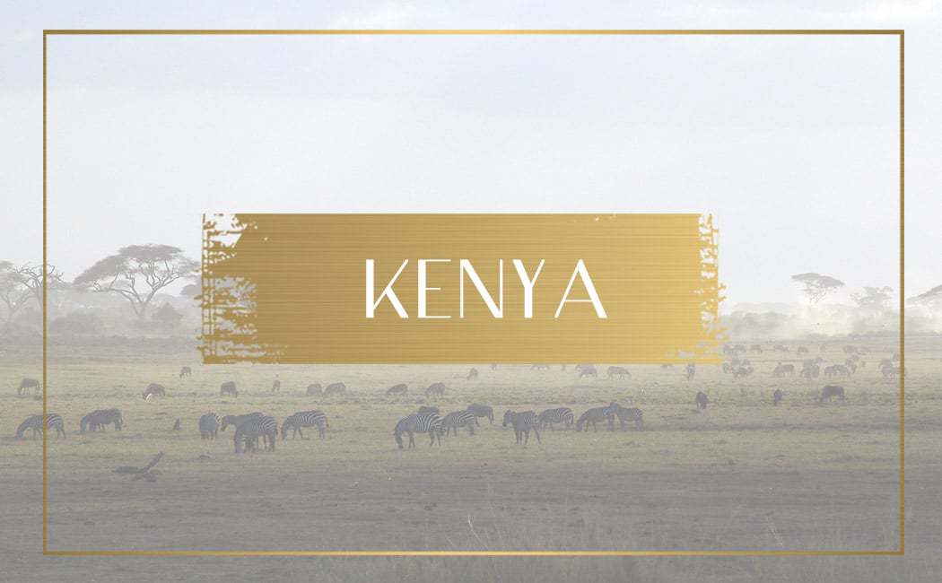 Destination Kenya