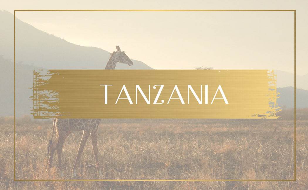Destination Tanzania