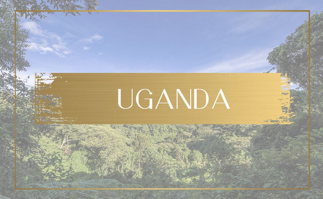 Destination Uganda