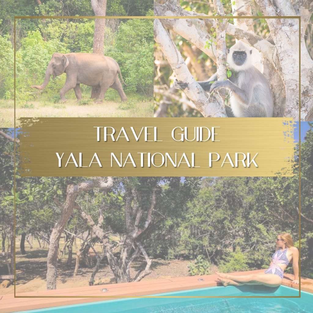 Travel guide to Yala National Park Sri Lanka feature