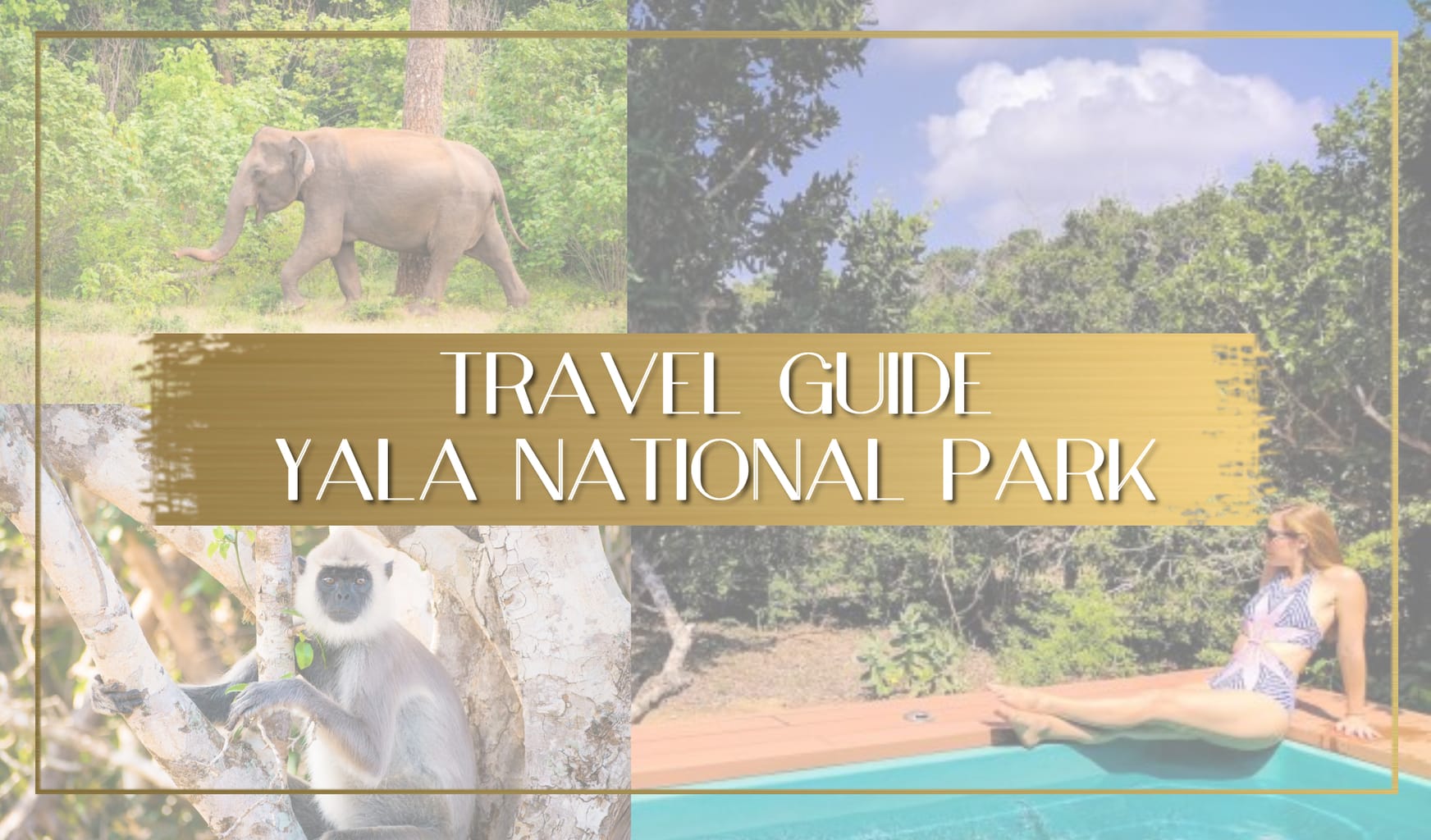 Travel guide to Yala National Park Sri Lanka main