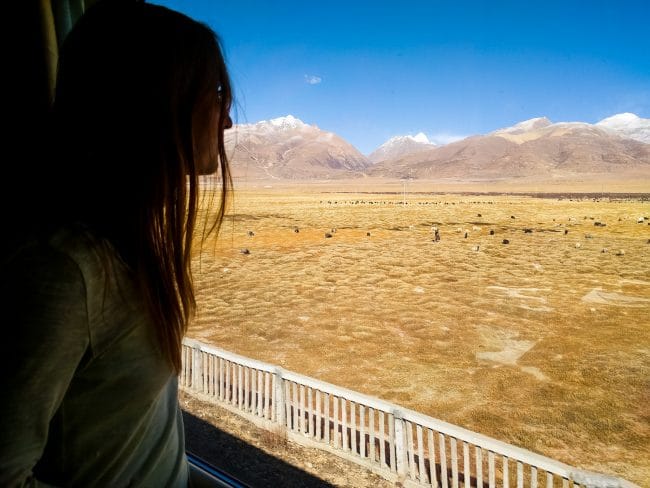 Looking at the scenery on the train to Lhasa