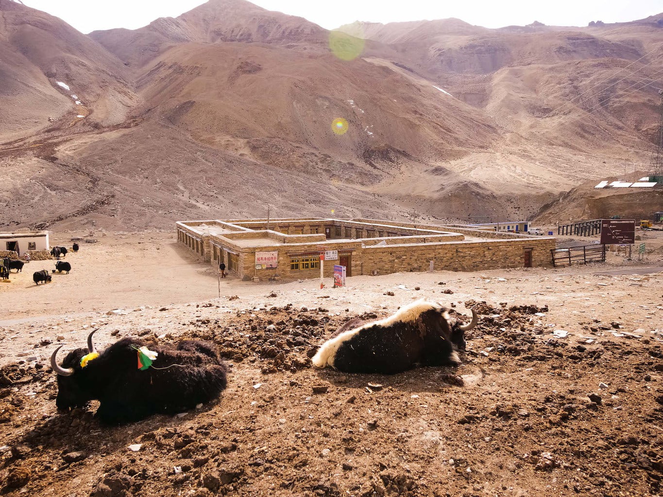 Rongbuk monastery guesthouse