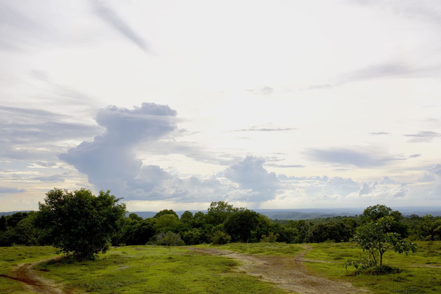 Mondulkiri view