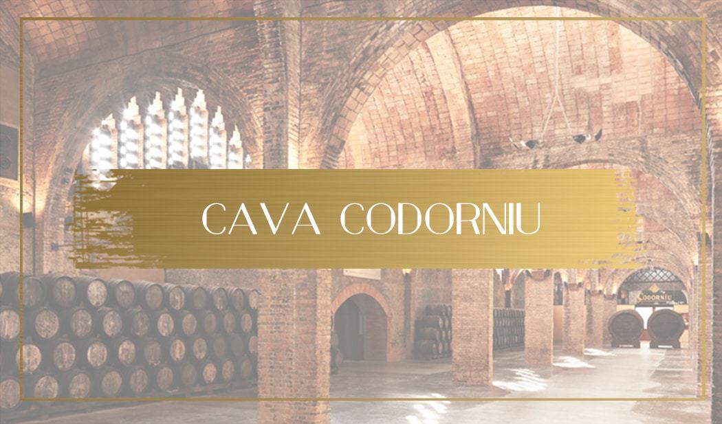 Visiting Cava Codorniu Spain's oldest family-run business
