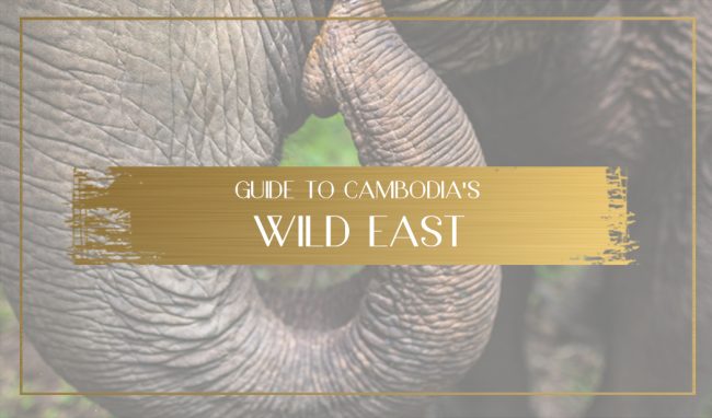 Wild east of Cambodia Main