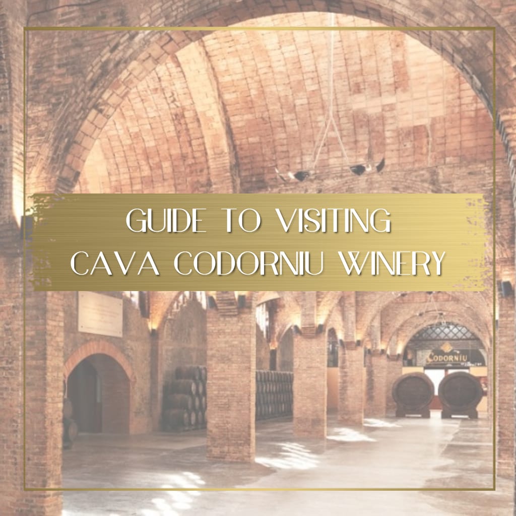 Cava Codorniu Winery feature