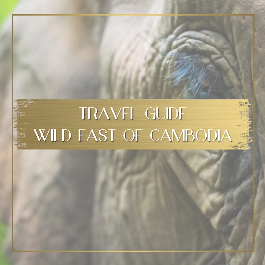 Guide to Cambodia's Wild East feature