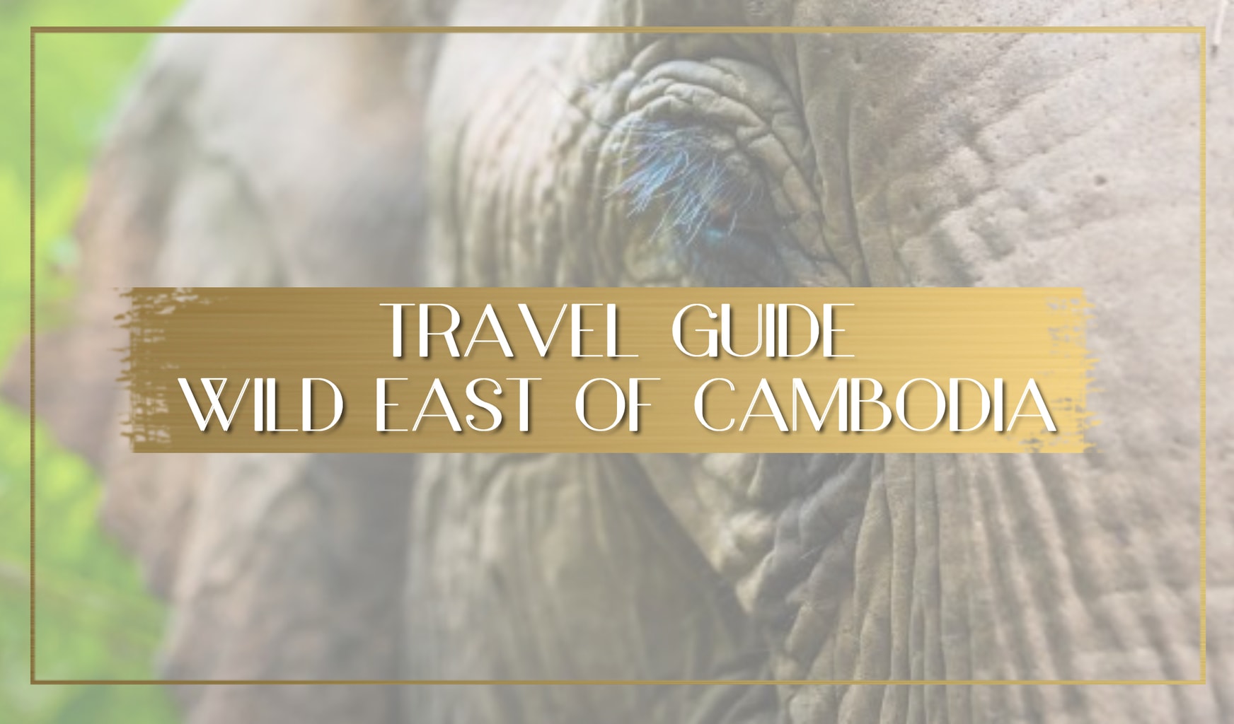 Guide to Cambodia's Wild East main