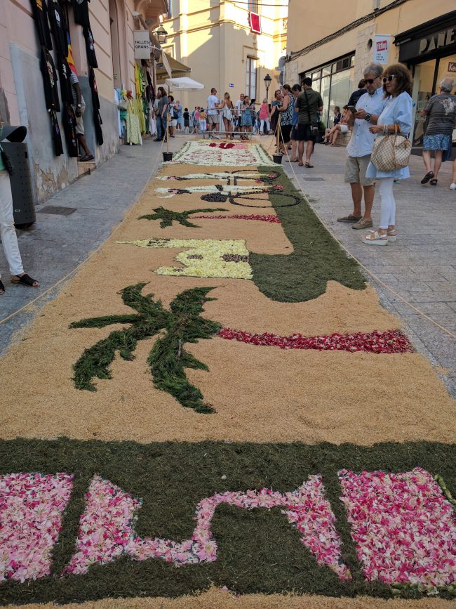 Corpus Christie Flower Tree