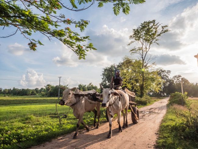 Wagon on Koh Trong