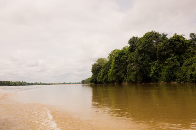 Cruising down the river