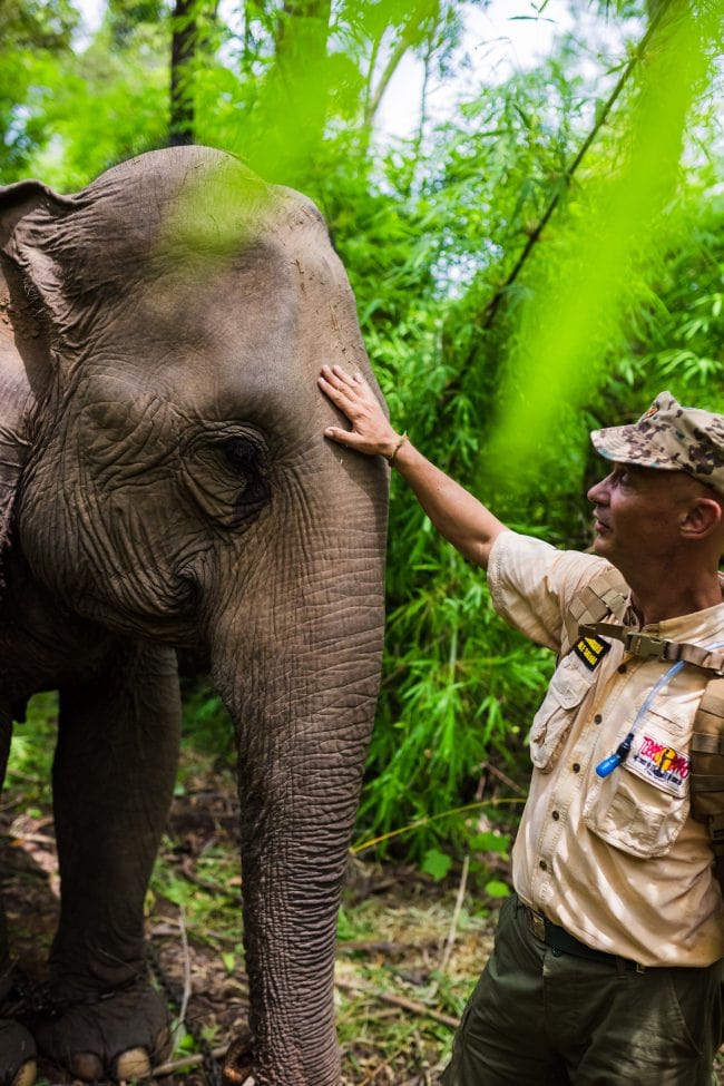 Pierre-Yves and his elephant