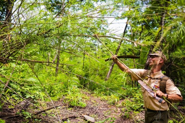 Chopping trees