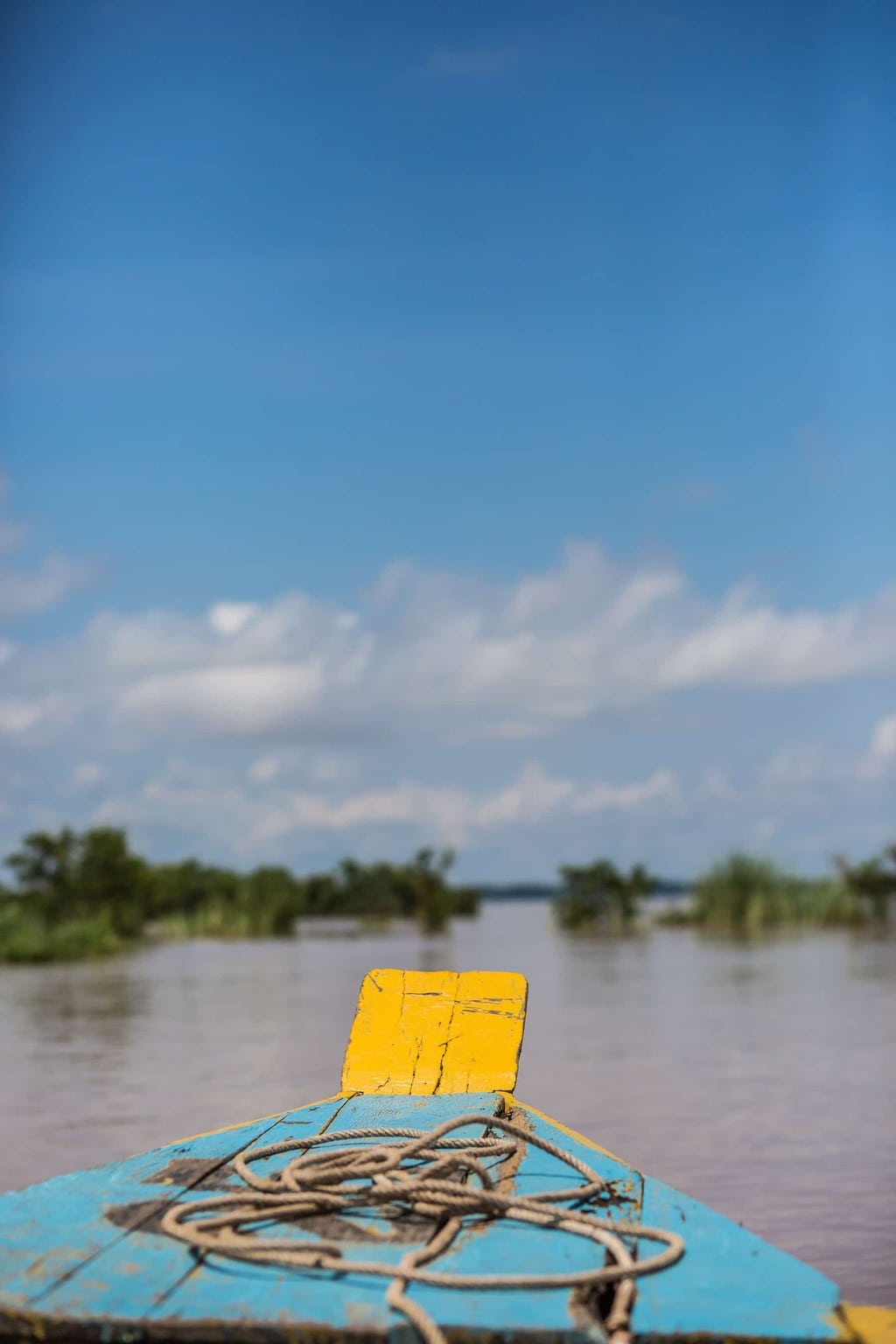 Travel to see the Irrawaddy dolphins