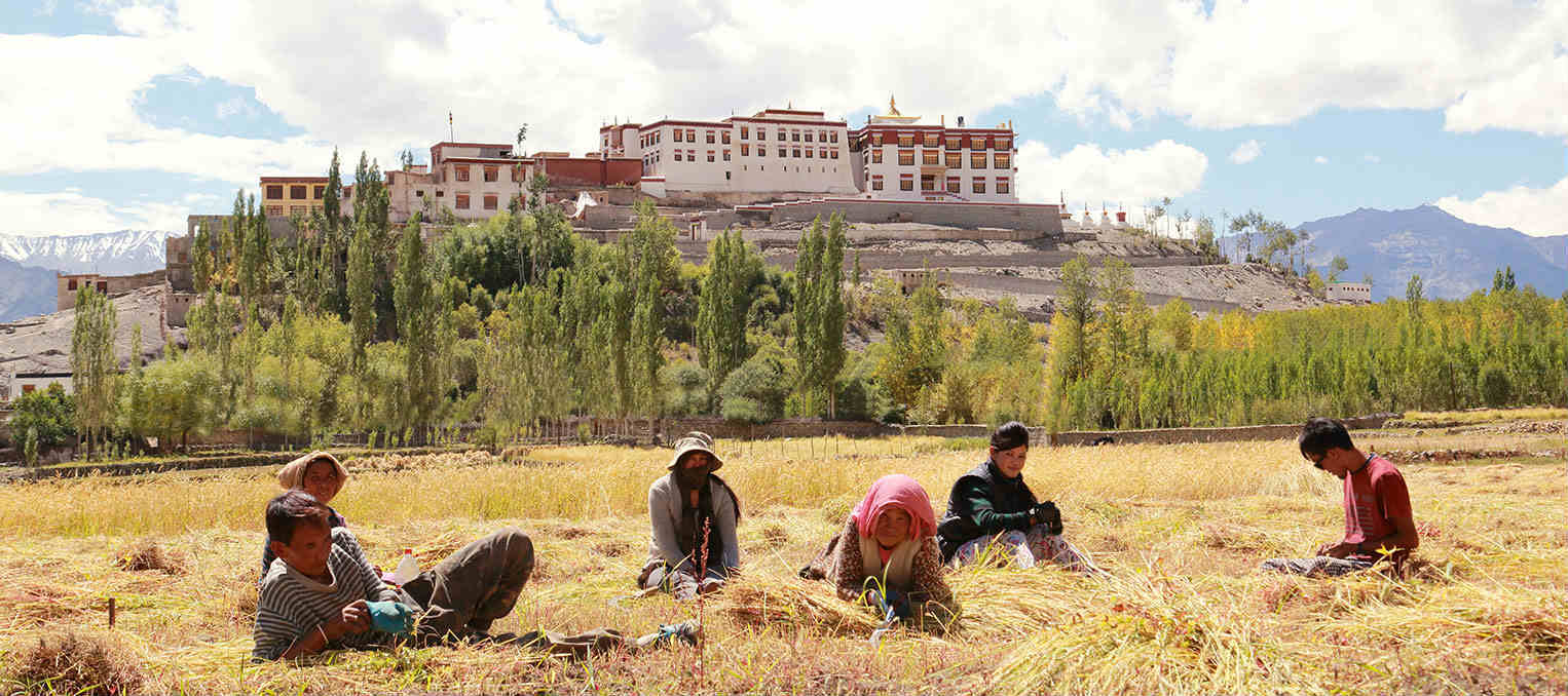 Shakti Ladakh