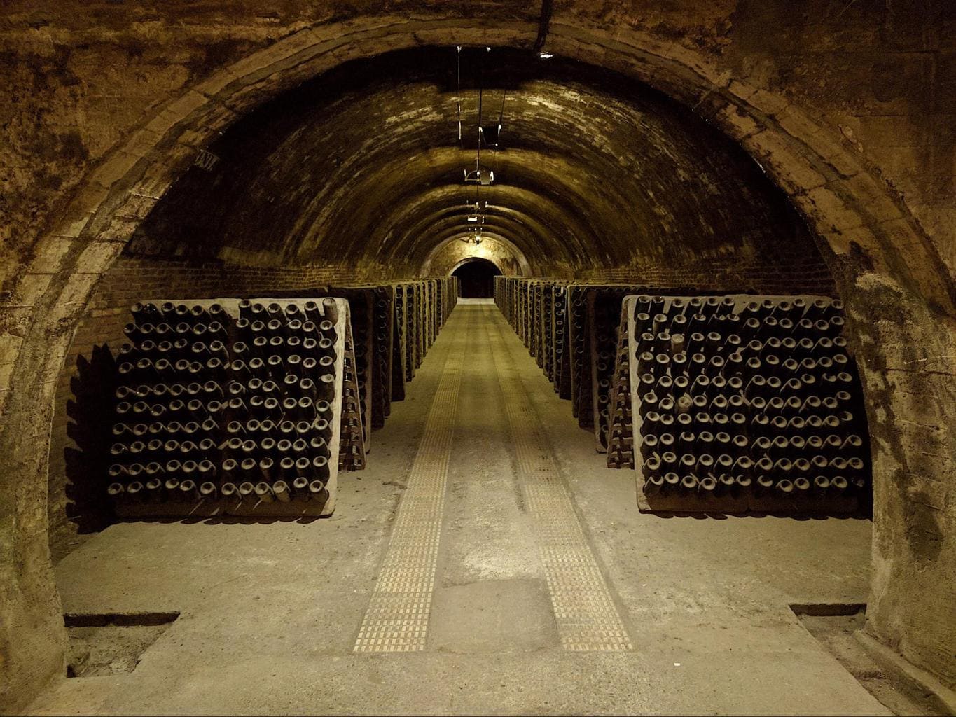 Codorniu cellar