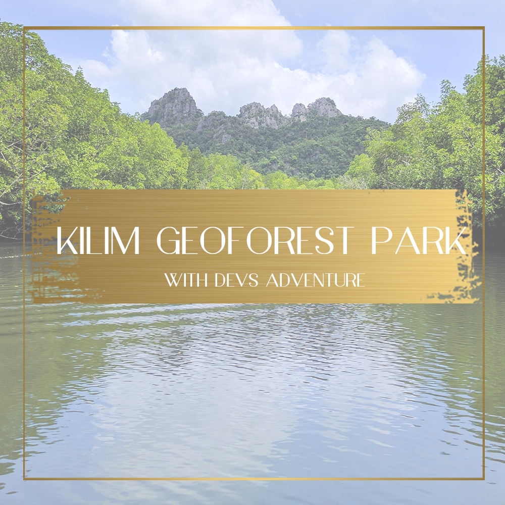 Langkawi's Kilim Geoforest Park tour with Dev's Adventure