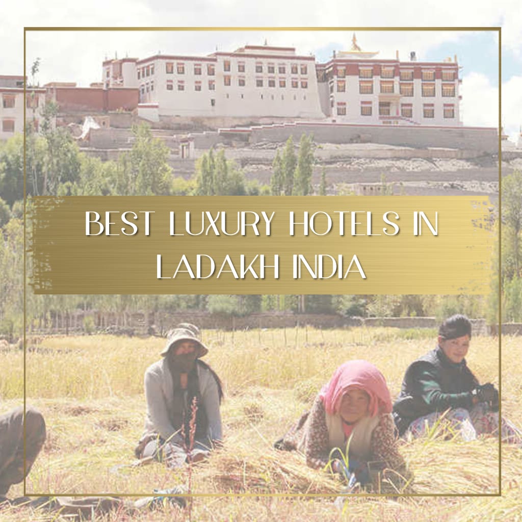 Best luxury hotels in Ladakh India feature