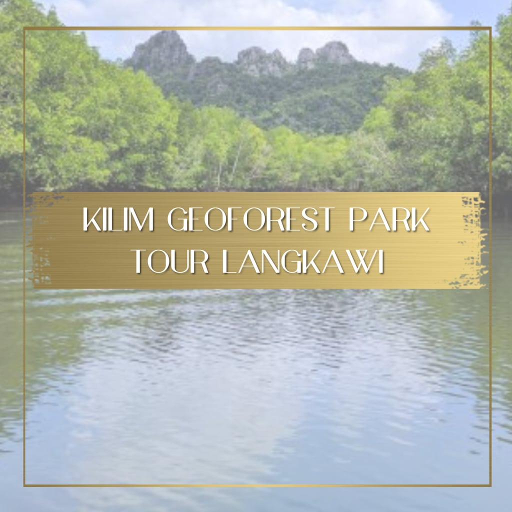 Kilim Geoforest Park Tour Langkawi Feature