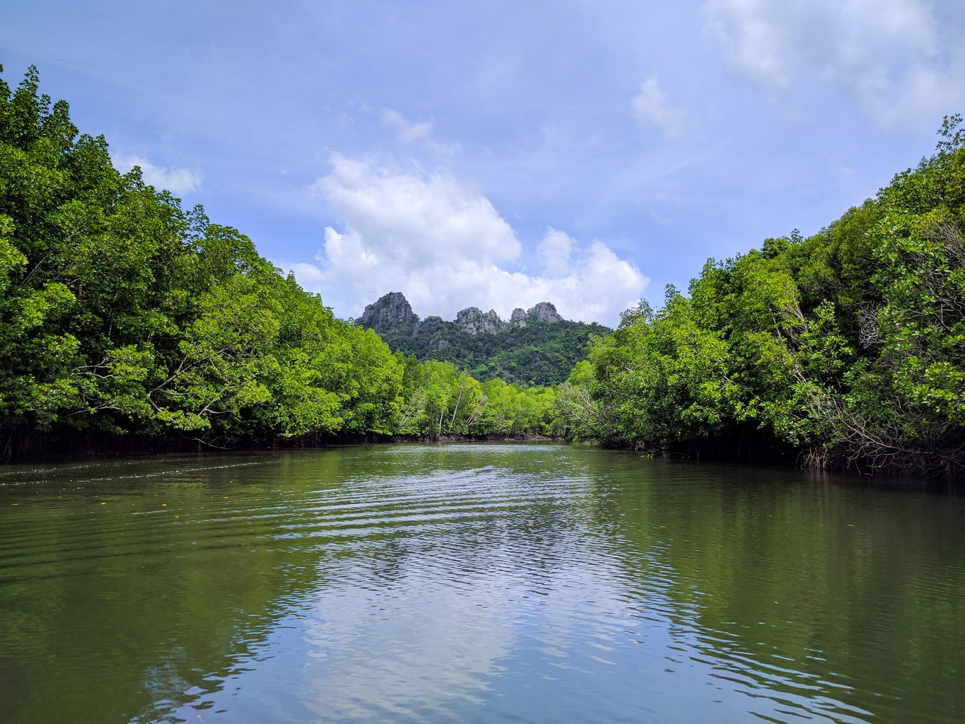 Kilim Geoforest park