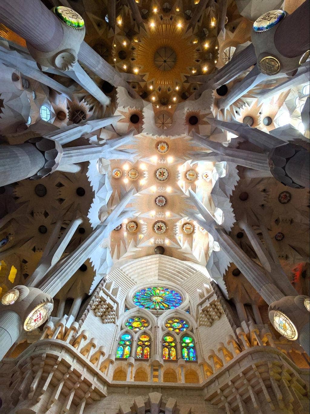 The ceiling of Sagrada Familia with the famous tree-shaped columns