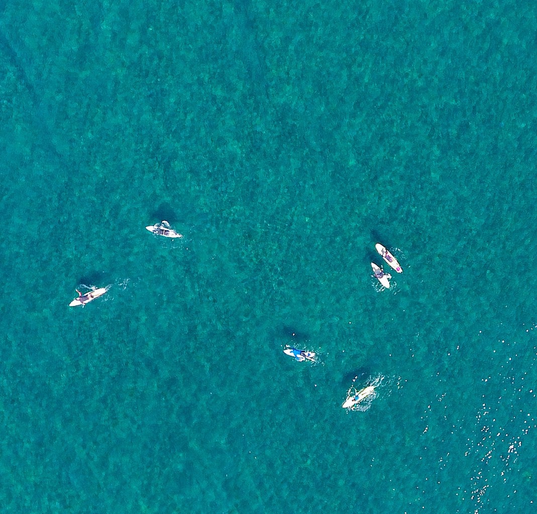 Aerial shot of surfers