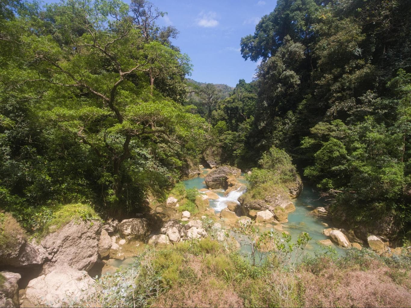 Jungle at Nihi Sumba