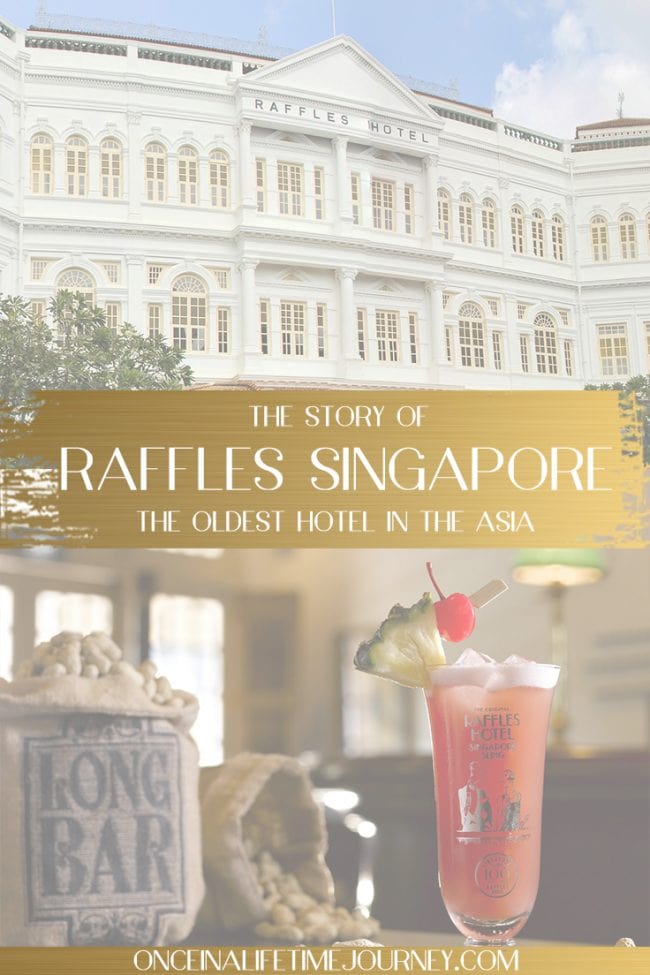 Raffles Singapore Pin
