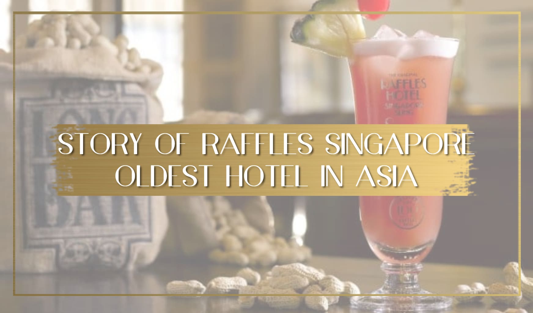 Story of Raffles Singapore main