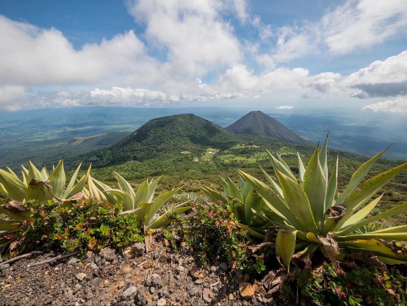 View of volcanoes and cactus