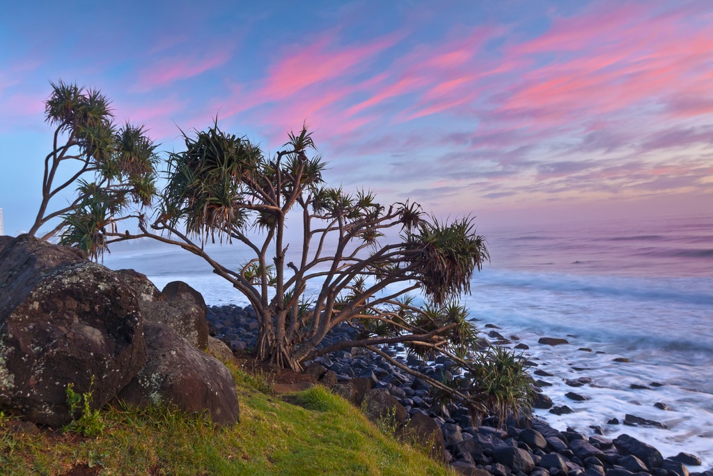 Burleigh Heads Viewpoint