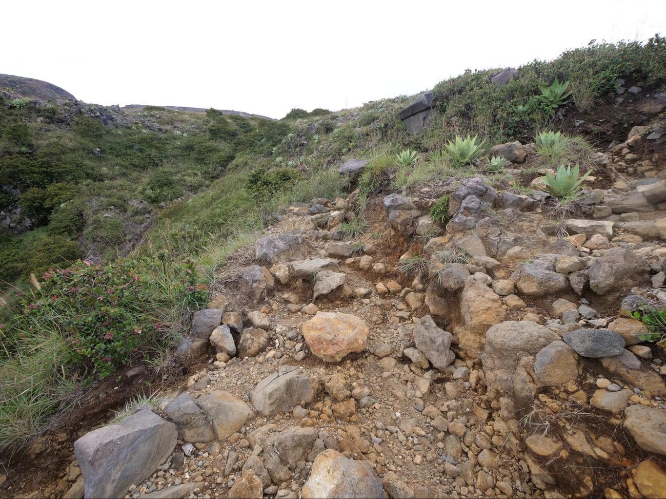 Santa Ana Hike with rocks in the path