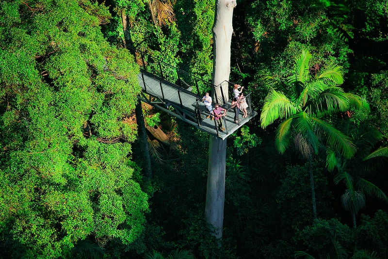 Tamborine Mountain Viewpoint