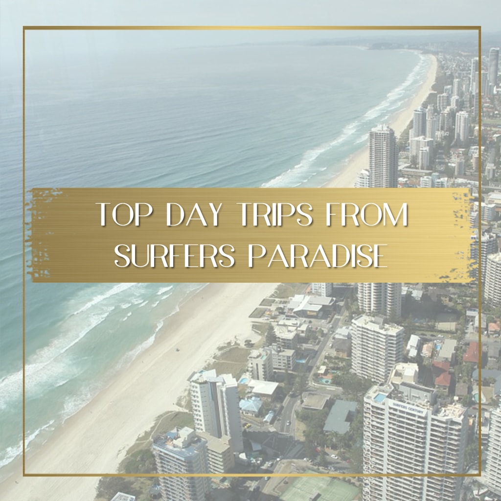 Top Day Trips from Surfers Paradise feature