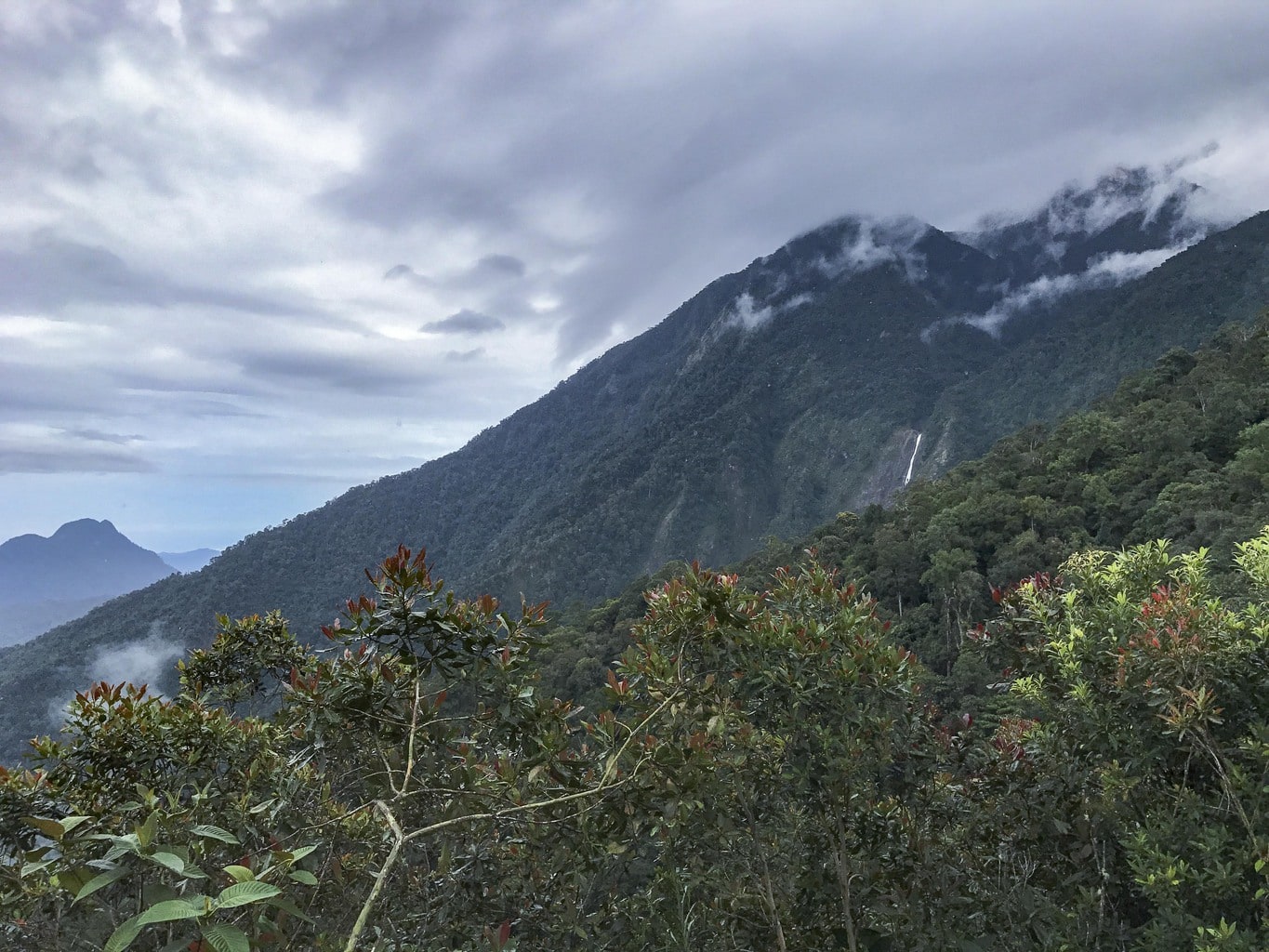 View from memorial point