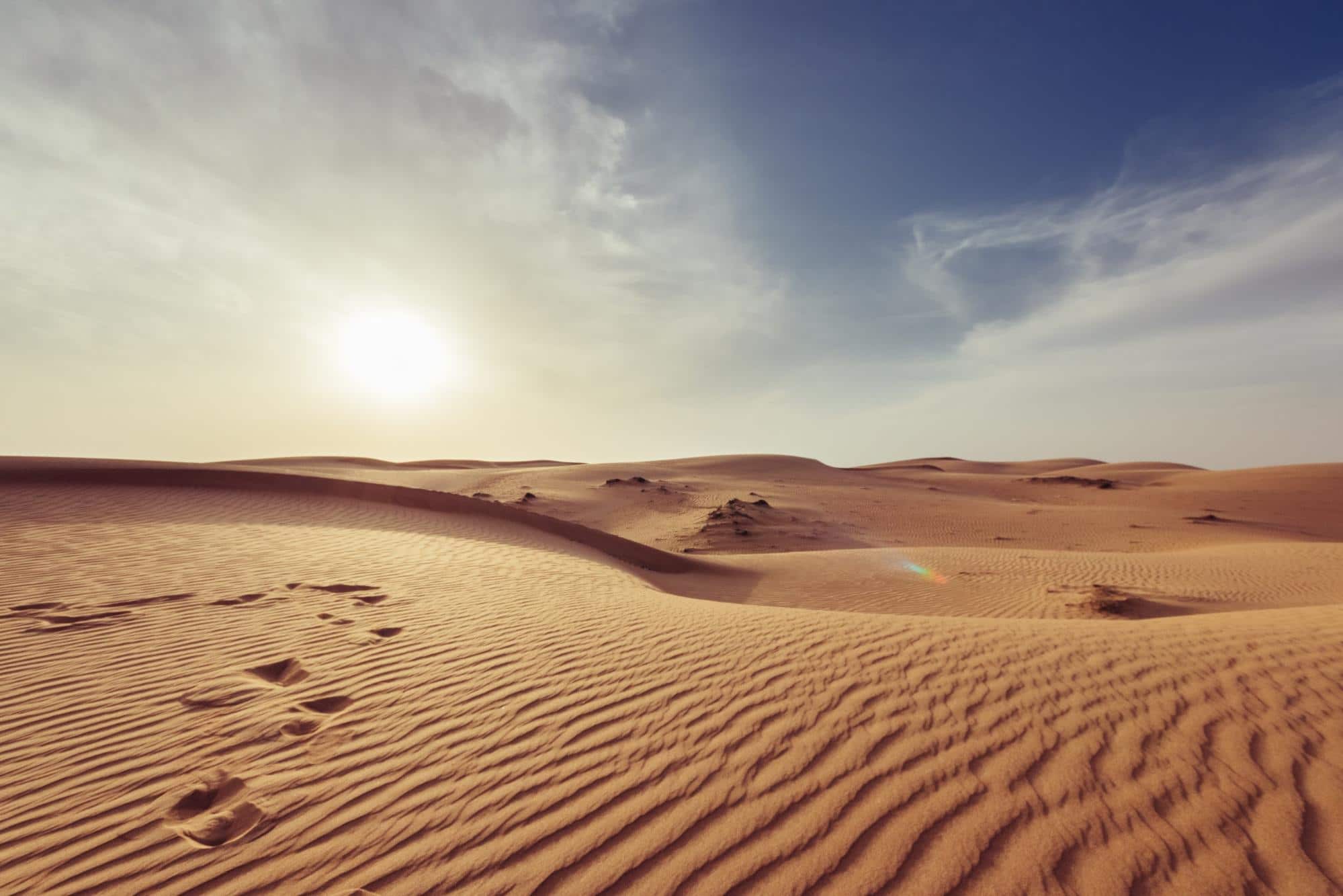 Oman Desert